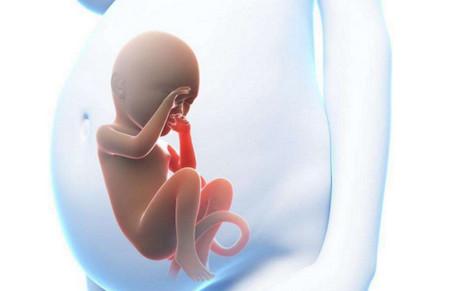 女性卵巢早衰，尽快生育比较好