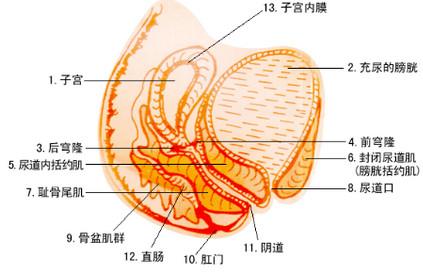 月经过少有什么影响？