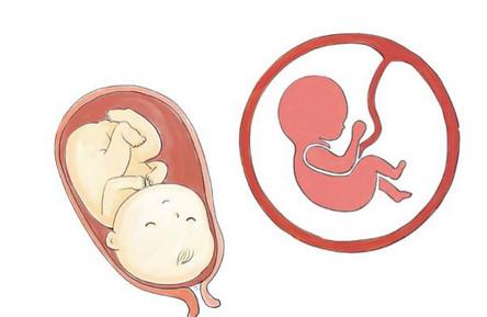 胎儿入盆有什么症状