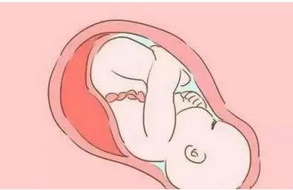 胎儿作息时间是什么样的 胎儿喜欢什么时候睡觉