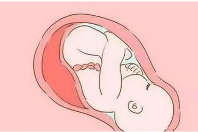 胎儿作息时间是什么样的 胎儿喜欢什么时候睡觉