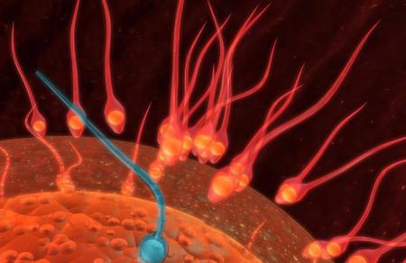 想要卵子质量好需要注意什么