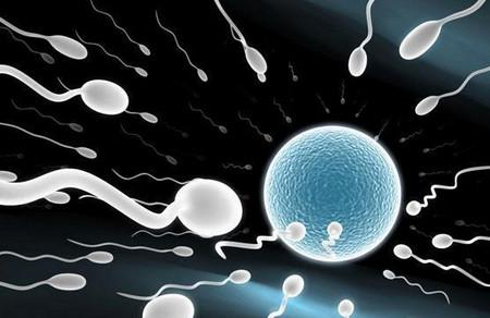 怎么让你的精子恢复正常