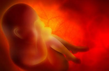 怎么判断胎儿发育是否正常