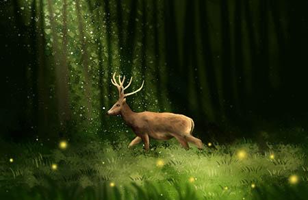 孕妇有子宫肌瘤可以吃阿胶吗