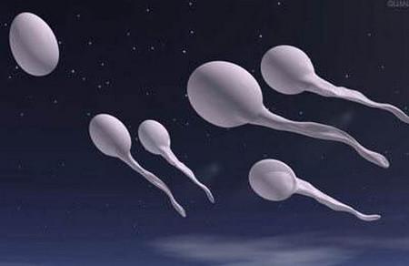 损伤精子的常见因素是什么