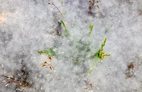 太阳“雪”的胎教故事