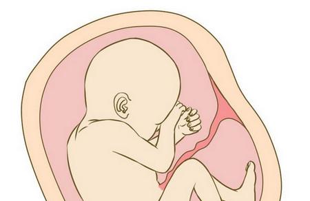 胎儿最喜欢什么时间睡觉