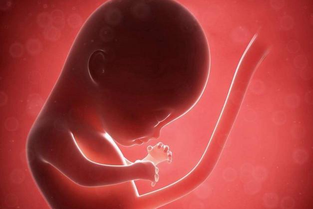 《如懿传》周迅矫正胎位却难产：大肚子真的不要乱摸