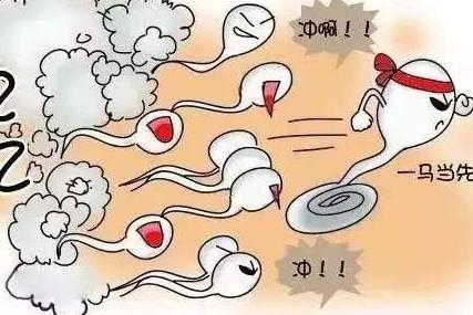 进入女性体内的精子，没能完成造小孩的使命，最后都去哪里了？