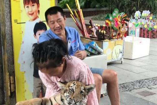 9岁女孩公园遛老虎 其父:老虎还小没有攻击