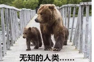 我孩子被欺负了还说我是“熊家长”？你才熊！