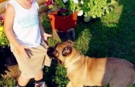 男童被自家牧羊犬撕脱头皮 爷爷称孙子正看狗