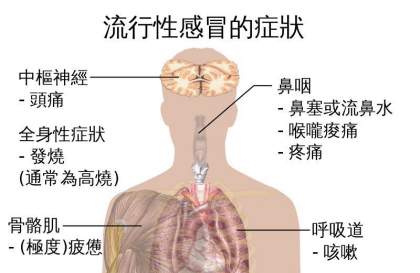 秋冬的严寒 好娃娃小儿氨酚黄那敏颗粒帮你抵御