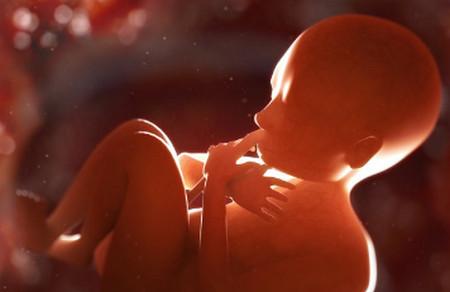 胎儿大小和什么有关