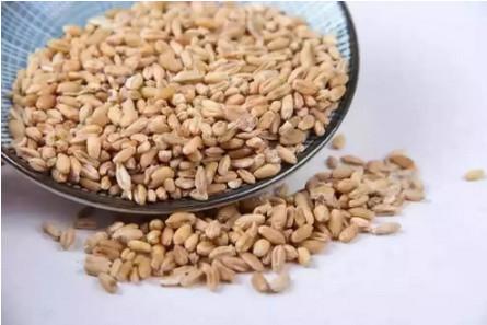 回奶吃炒麦芽汤不管用怎办？