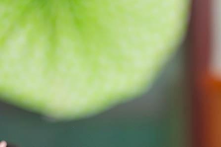 周姓小孩高分名字大全