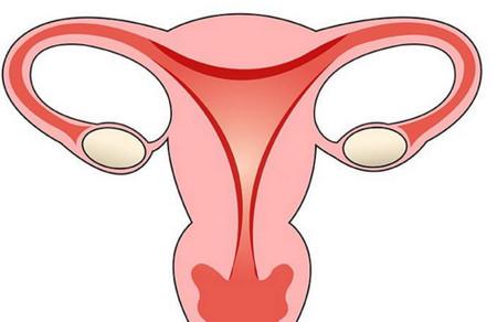 子宫内膜薄还能好孕吗