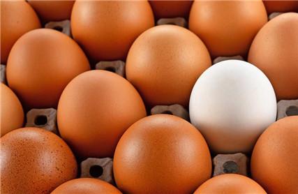 鸡蛋有补血的功效吗 鸡蛋居然还能补血？