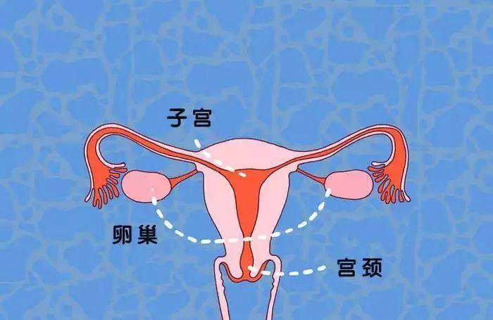 女性白带增多要紧吗