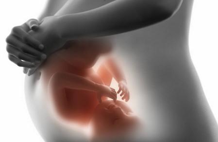 宝宝智商高在胎儿时期的表现有哪些