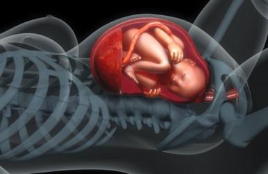 怎么知道胎儿发育情况