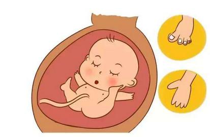 孕期最后一个月胎动的特点有哪些