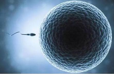 备孕需要重点补充这3种元素