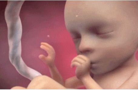 胎宝宝在妈妈腹中生活真精彩，妈妈们看了乐得合不拢嘴