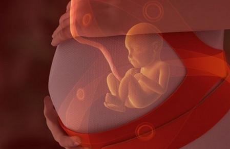 怎么知道胎儿发育是否正常