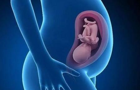 胎儿发育得好不好怎么判断