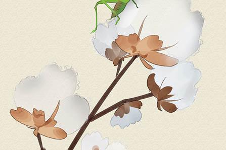 韩姓取好名字大全