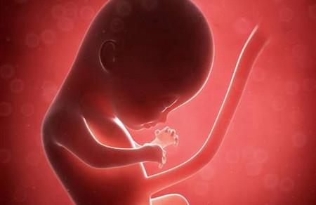 胎儿体重如何预测
