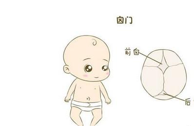 婴儿囟门该怎么护理