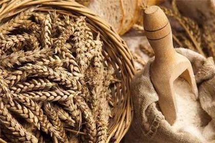 女性吃什么对妇科好 女人一定要吃这些