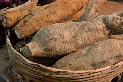 葛根有丰胸的效果吗 葛根真的能丰胸吗？