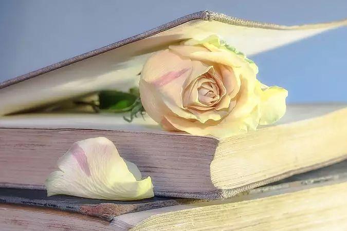 孩子多动又注意力不集中如何应对