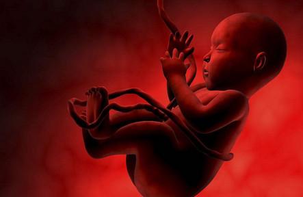 胎儿健康发育的表现都有哪些