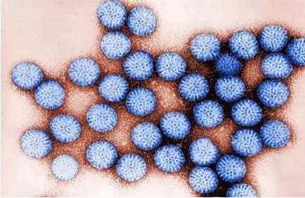 宝宝秋季腹泻怎么办