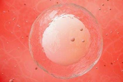 这几个信号表明受精卵着床