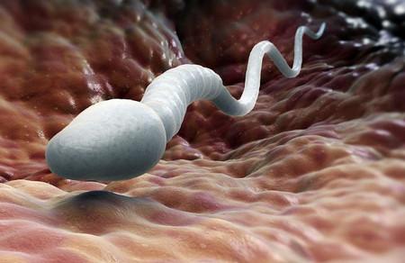 精子可以在子宫存活多久
