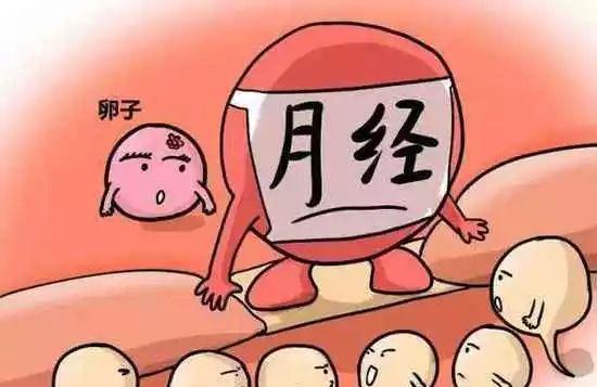 卵子排出后若没受精怎么办