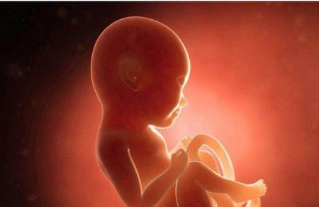胎儿二十三周发育情况