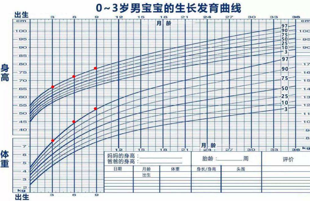 宝宝生长发育有什么规律