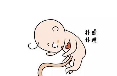 孕期做B超时胎儿是什么样的