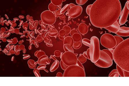 宝宝多大可以喝甲鱼汤