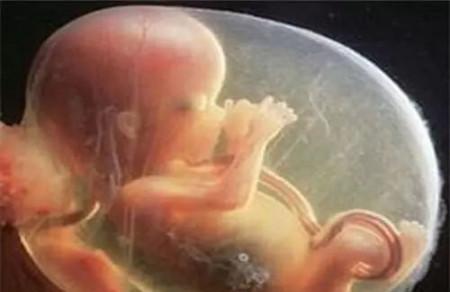 孕妇冬天吃什么水果对胎儿好?