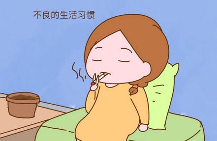 为什么现在怀孕那么难