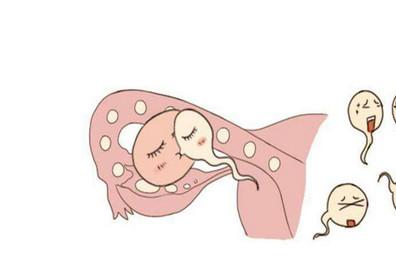 影响胚胎着床的原因有哪些？