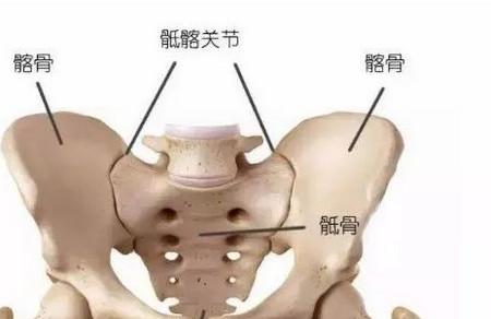 孕期产后为什么腰背痛